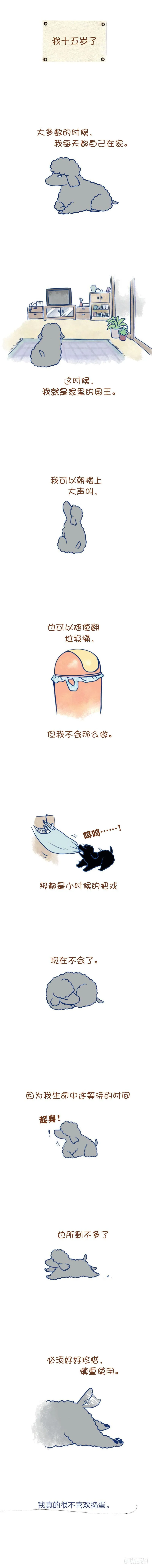 6.我十五岁了 第1页