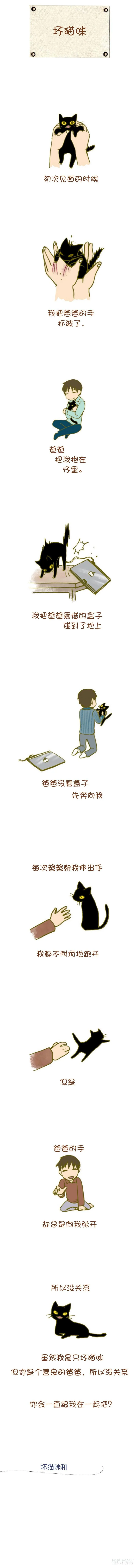 37.坏猫咪 第1页