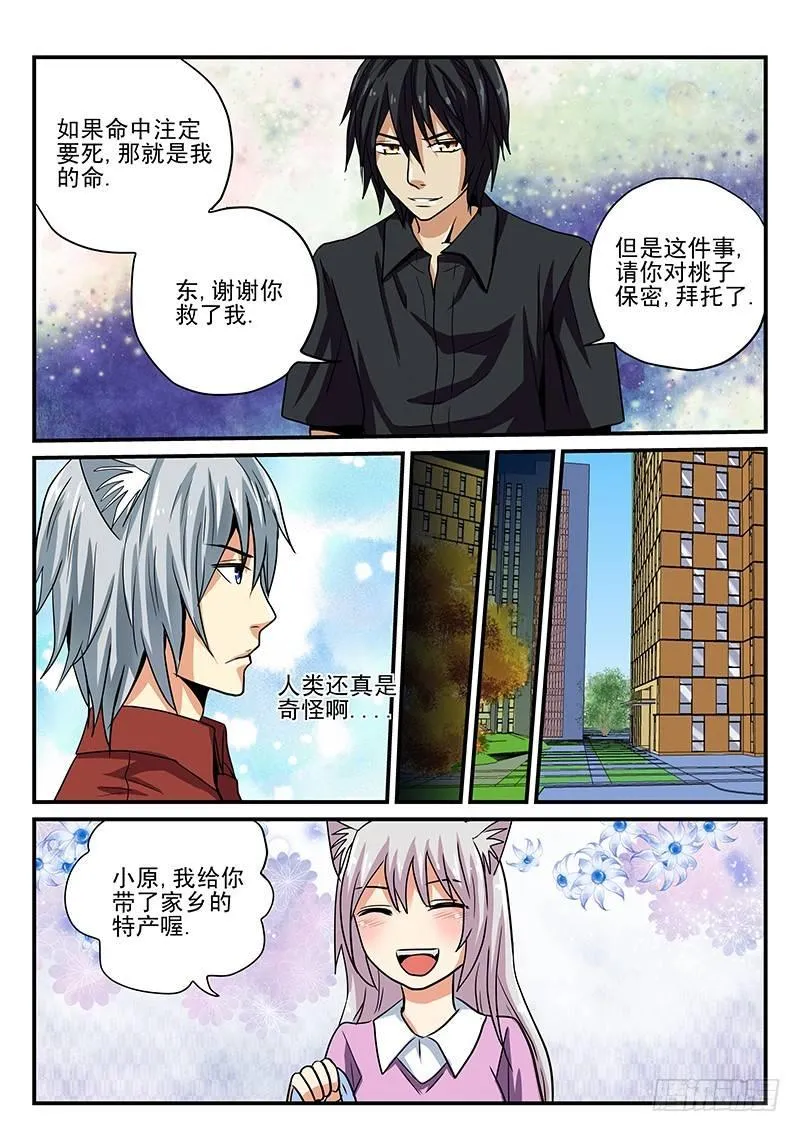第19章 相遇 第2页