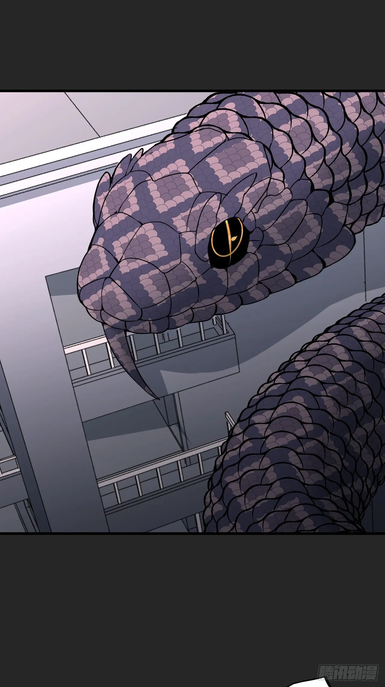 第27单：九命猫 04 第7页