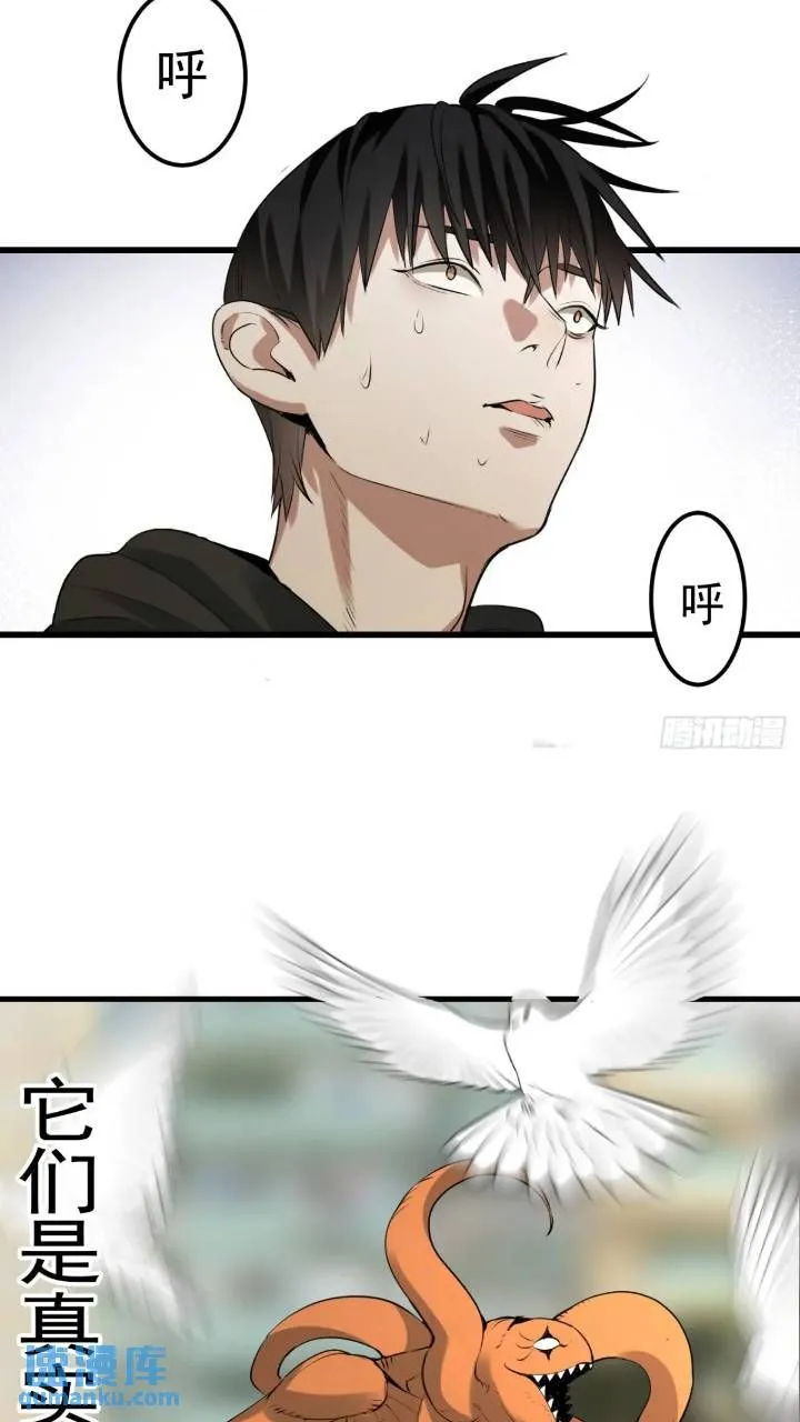 最终单：Z权限 第27页