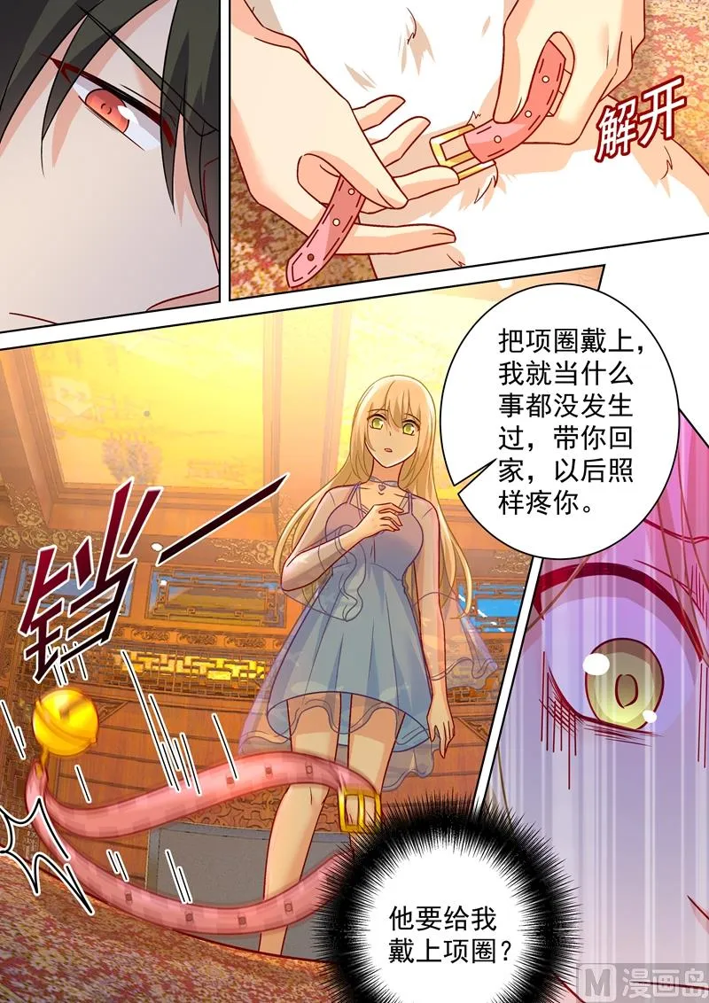 第251话 不会选择做一只宠物 第3页