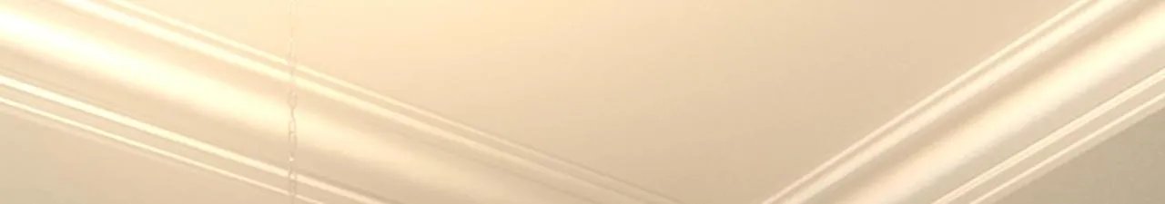 第492话 宫欧今晚订婚？ 第30页