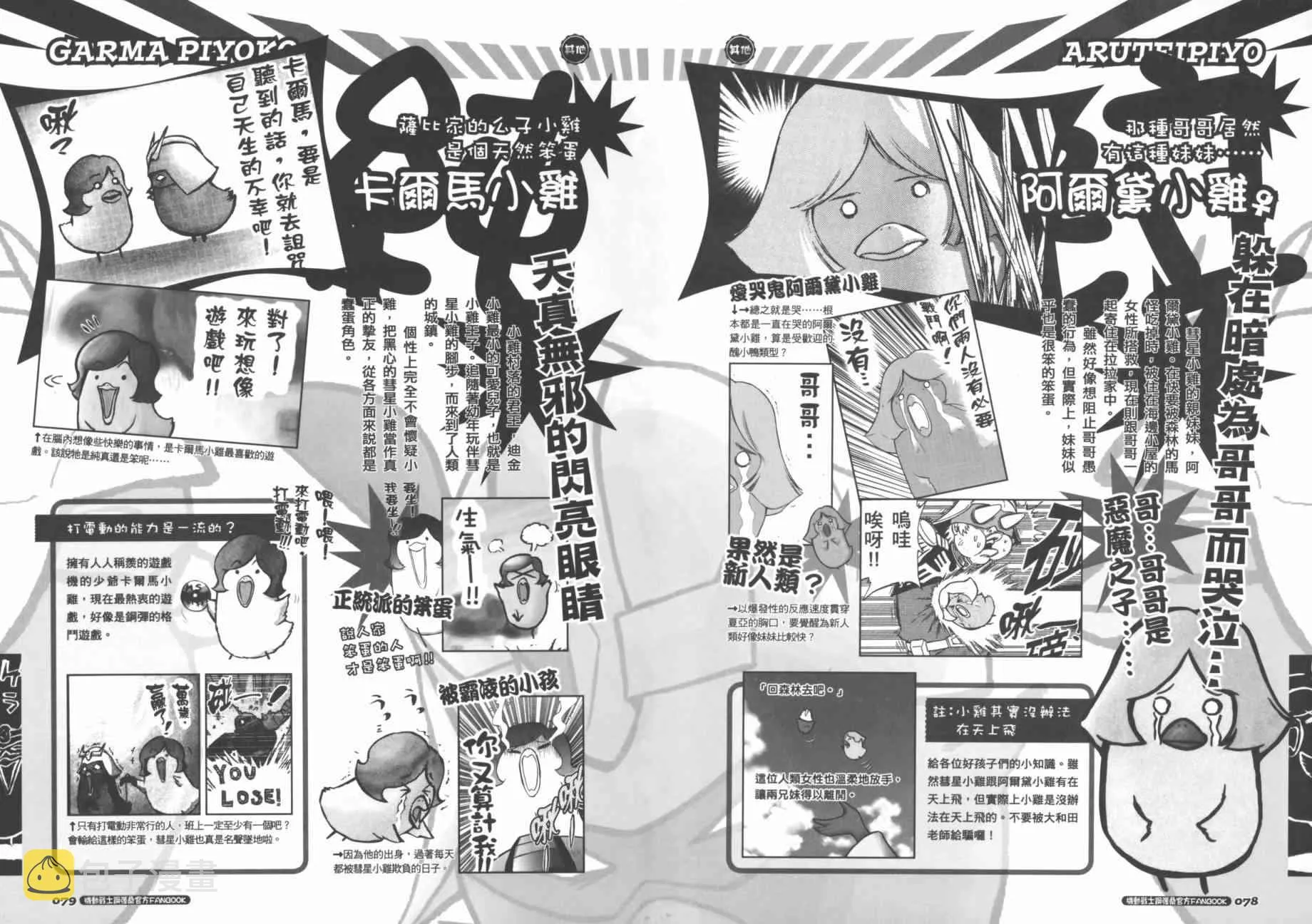 官方FANBOOK 第44页