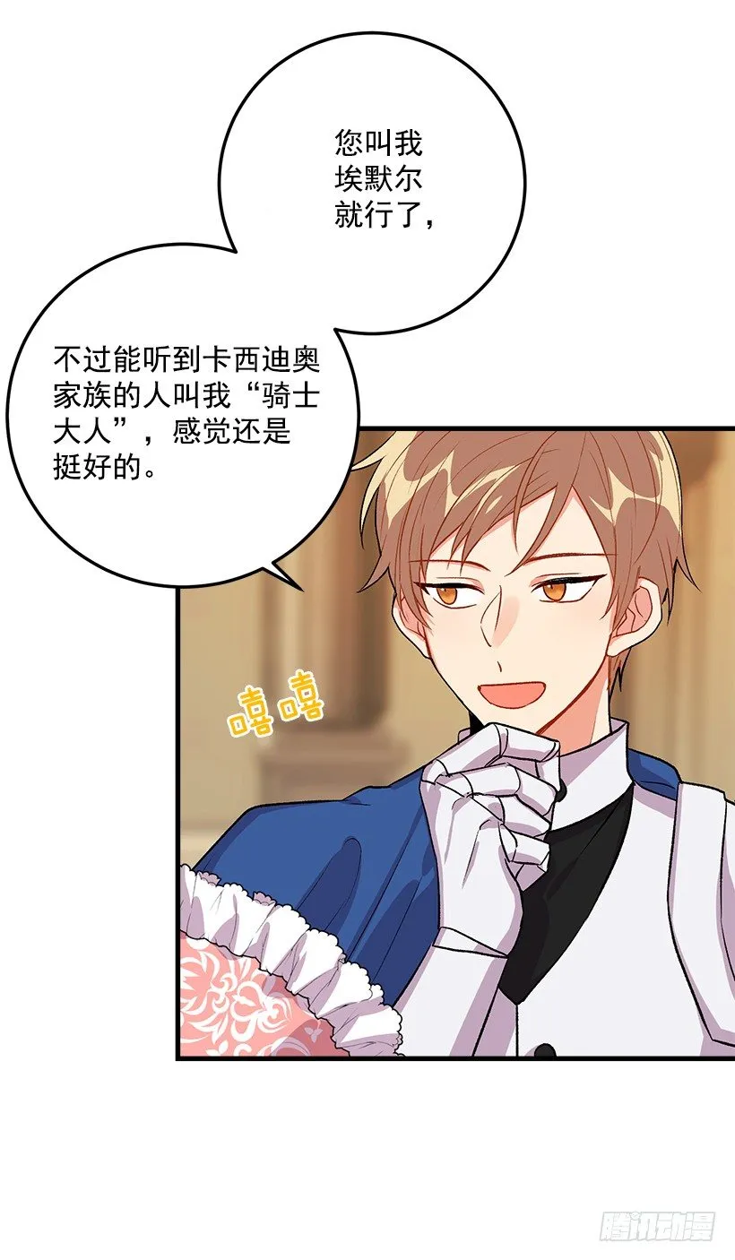 贴身骑士埃默尔 第5页