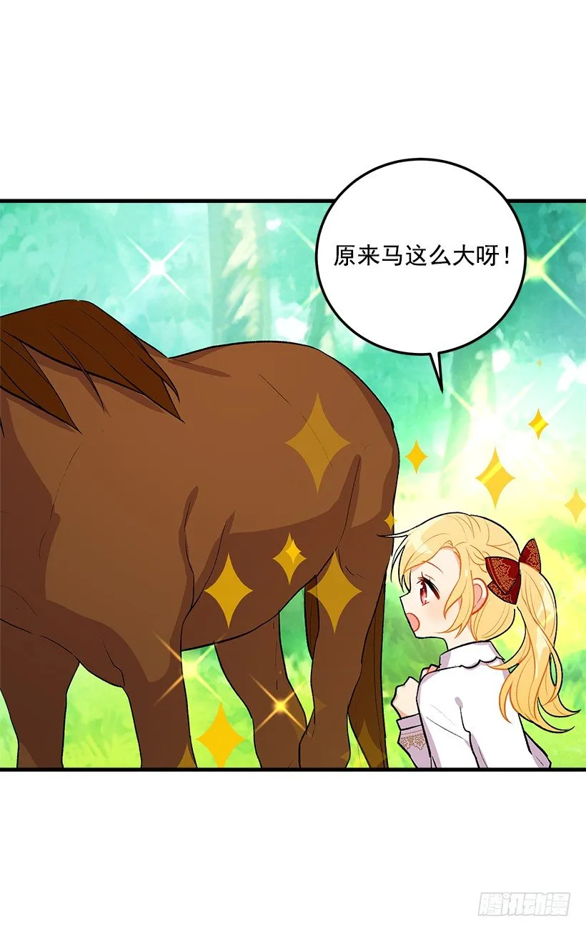 精灵石 第5页