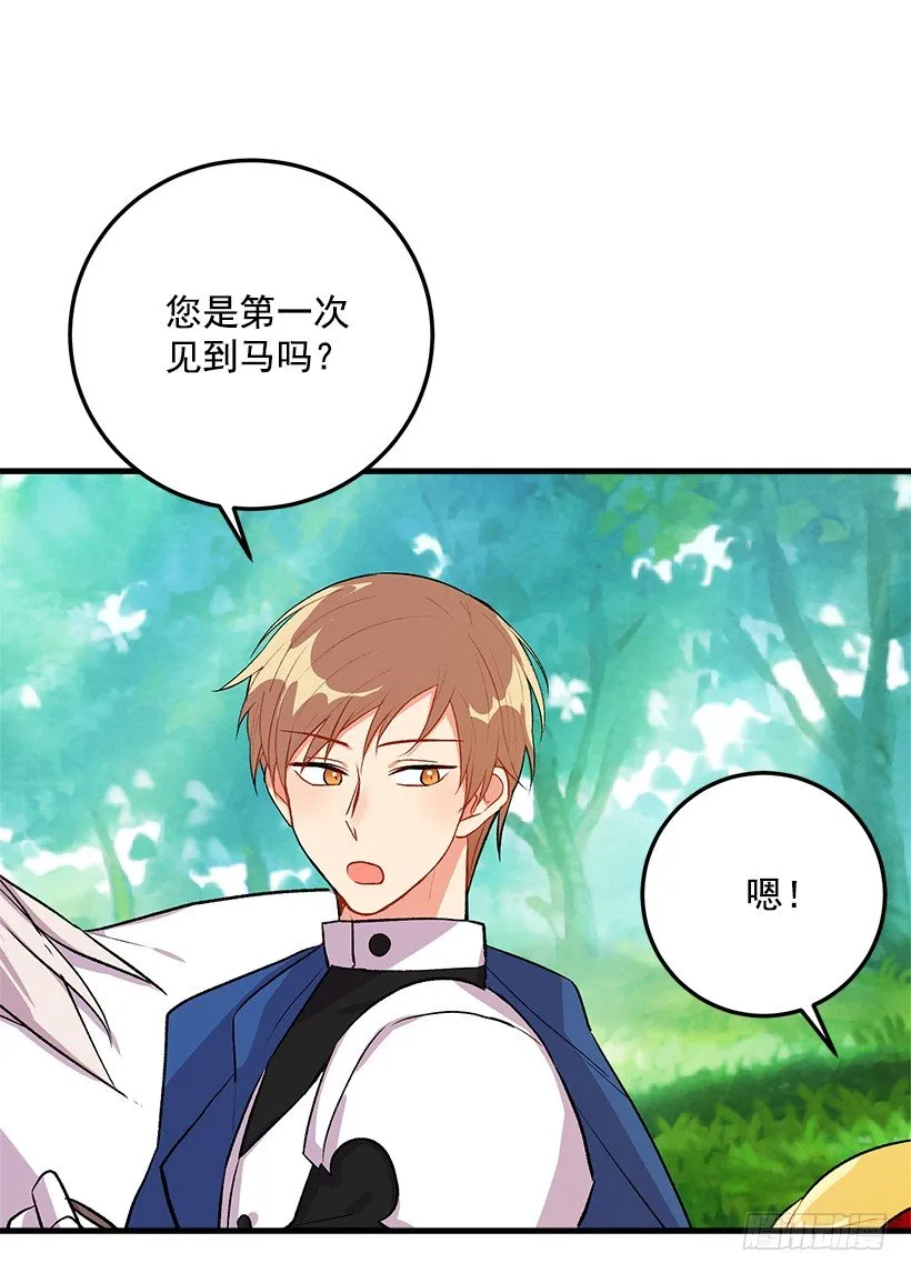 精灵石 第6页