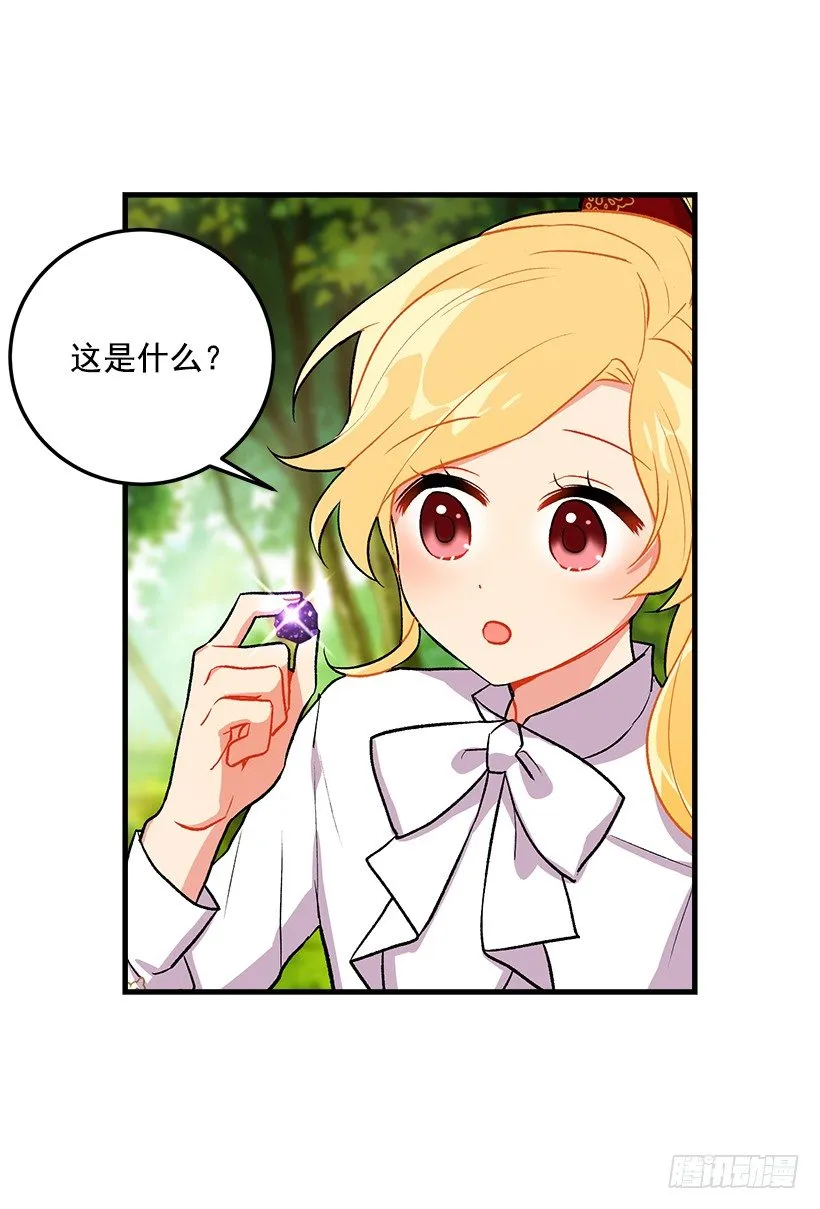 精灵石 第36页