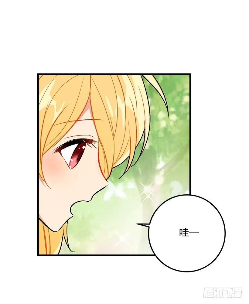 精灵石 第41页