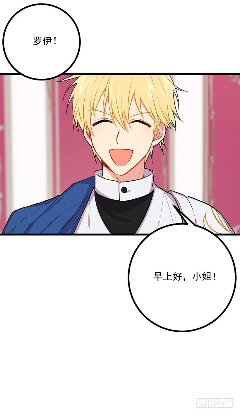 魔法师与魔法师塔 第27页