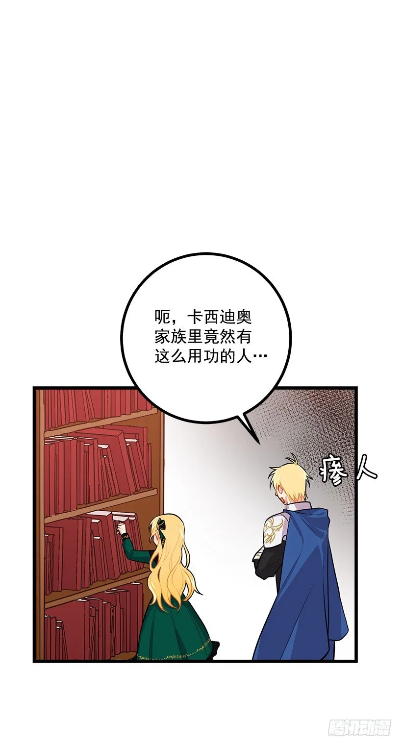 魔法师与魔法师塔 第29页