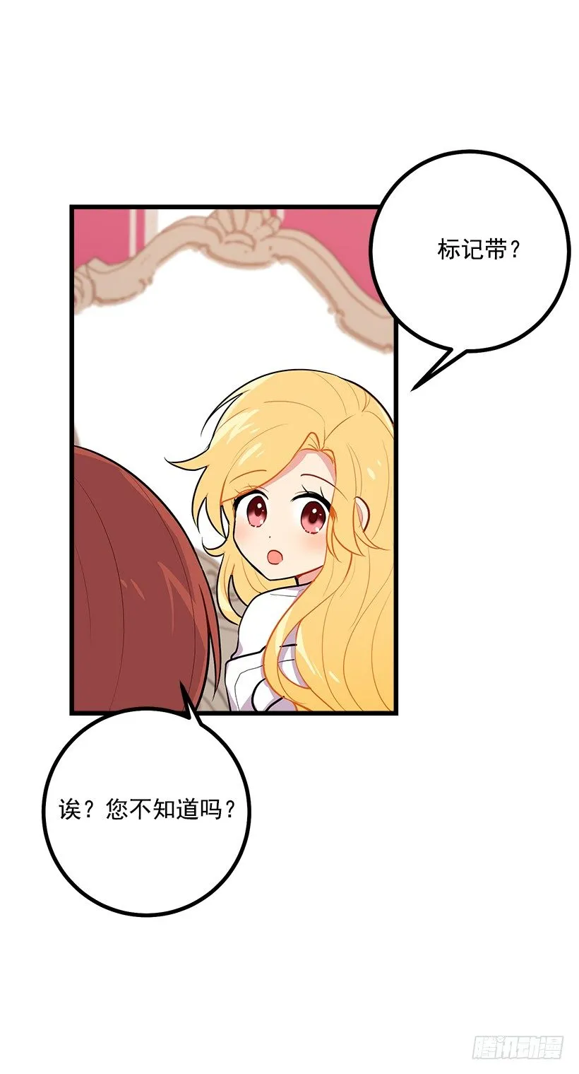 狩猎大会的标记带 第31页