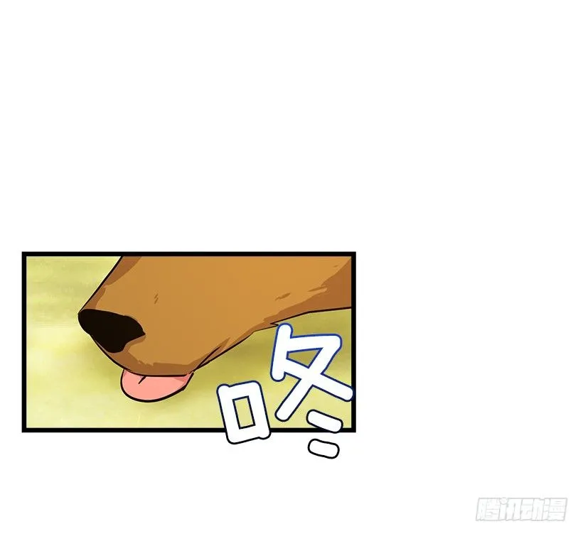 熊 第12页