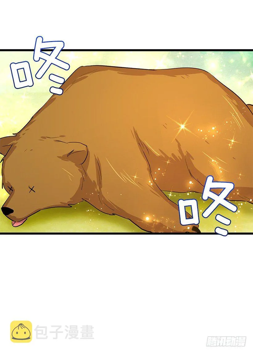 熊 第13页