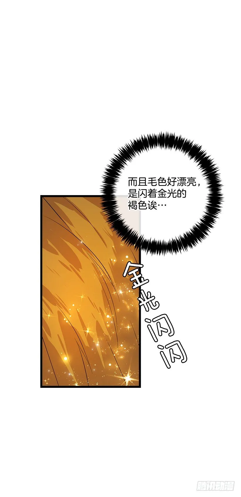 熊 第15页