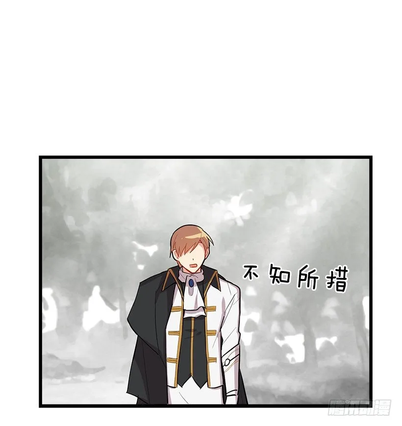 熊 第37页
