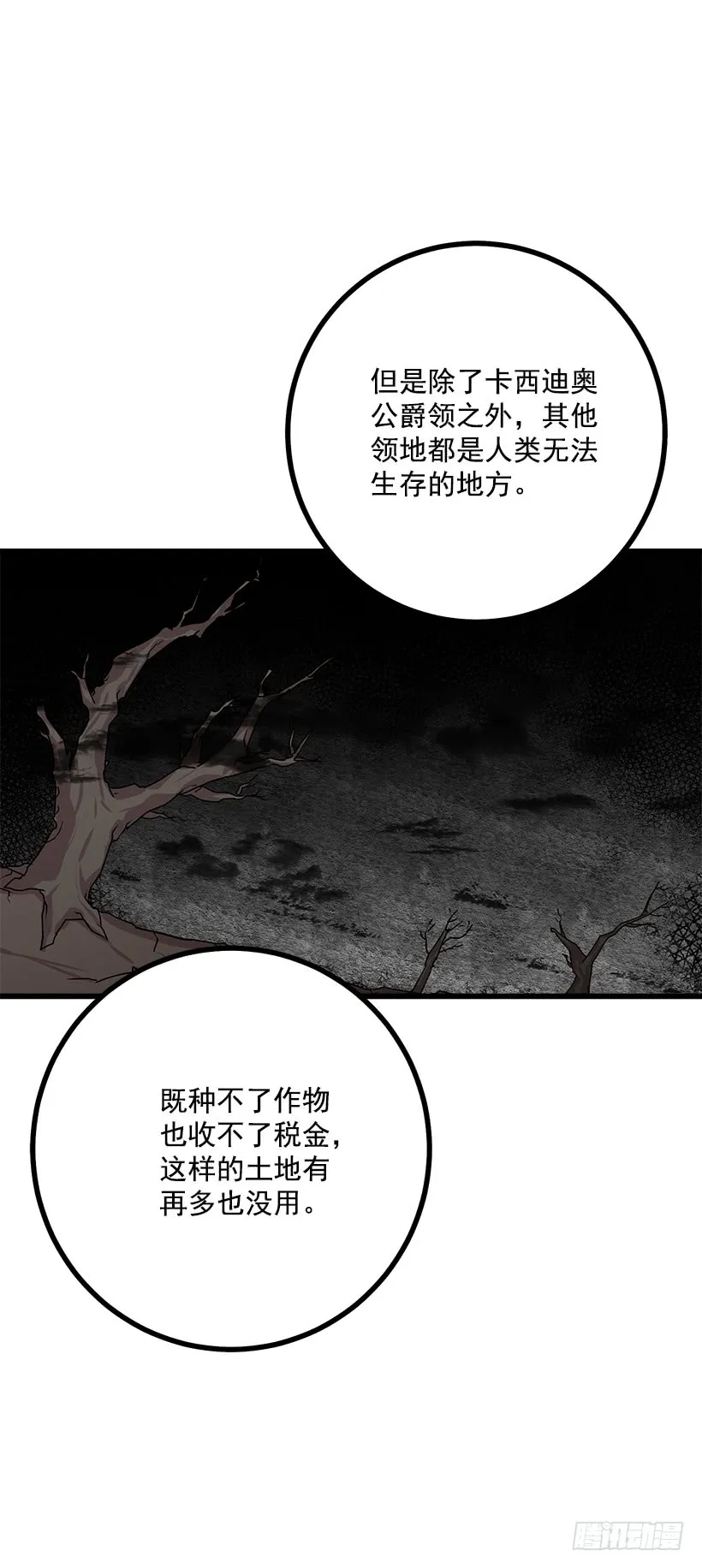 47.精灵的护佑 第36页