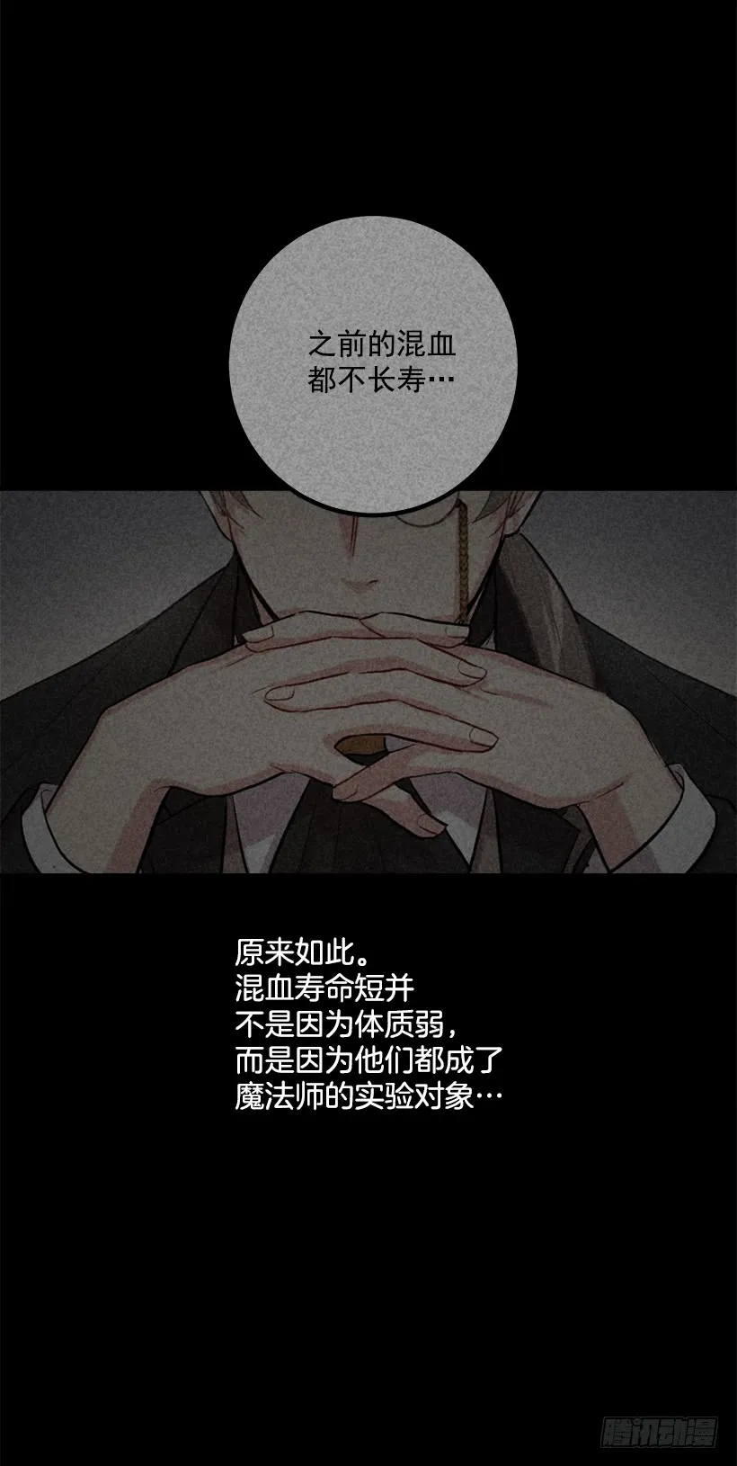 68.我不会杀了您 第30页