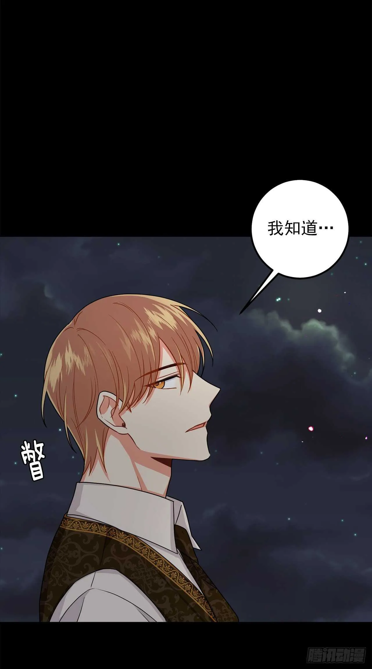 177.我能重新做您的骑士吗 第36页