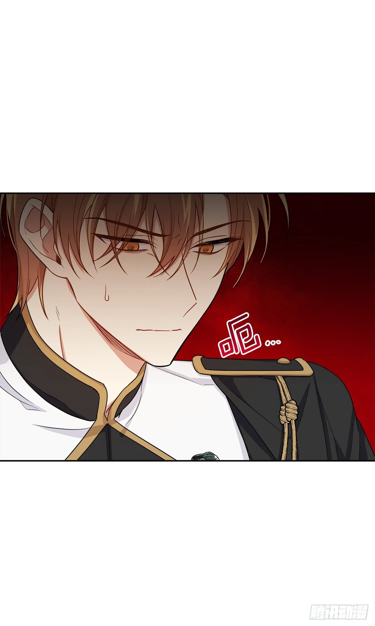 194.埃默尔受伤了？ 第26页