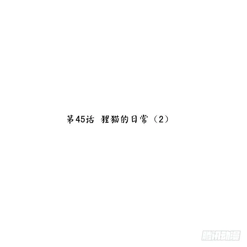 第45话 狸猫的日常（2） 第2页