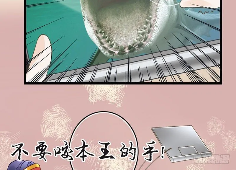 第44话 狸猫的日常（1） 第41页