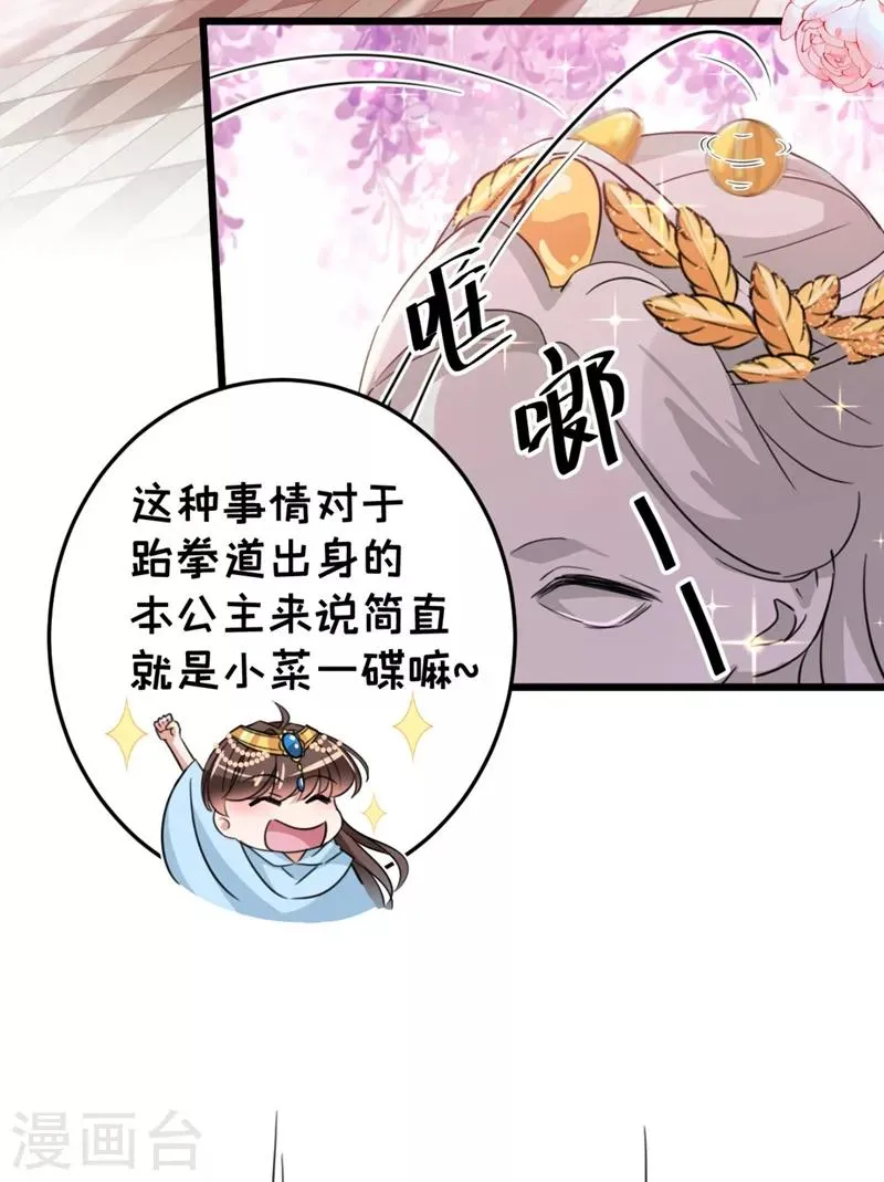 第242话 他才是真驸马？！ 第29页