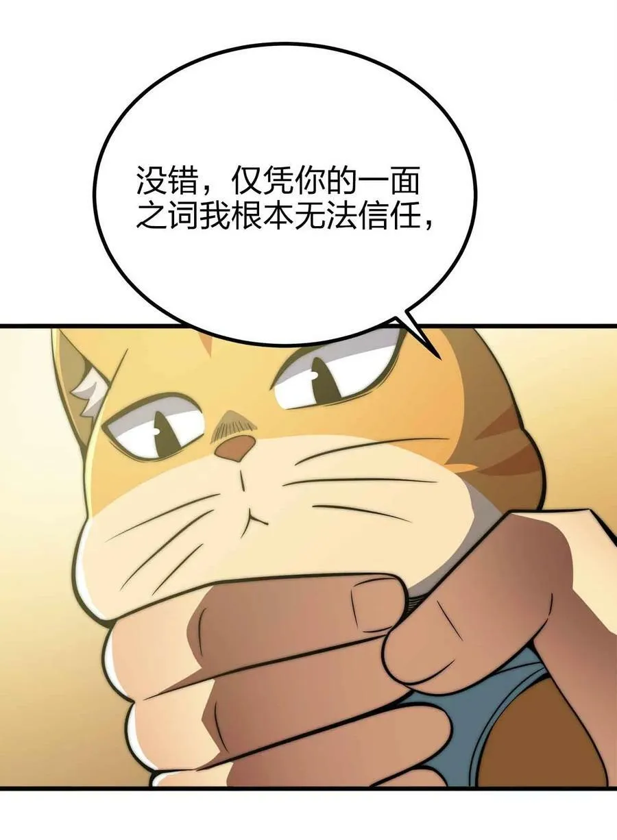 052 可爱的小猫咪？ 第42页