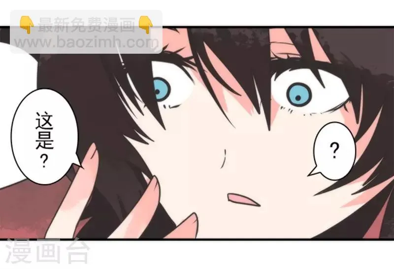 第31话 维京人海盗 第29页