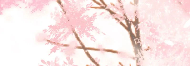 (Ⅱ)061棋士的回忆 第3页
