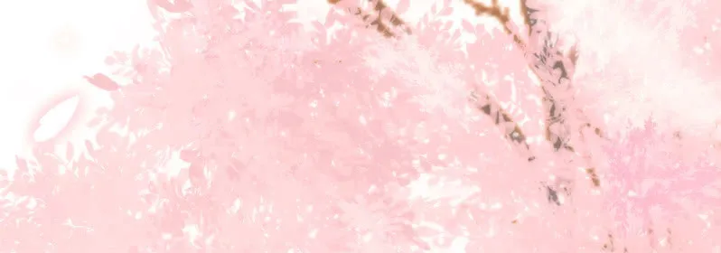 (Ⅱ)061棋士的回忆 第4页