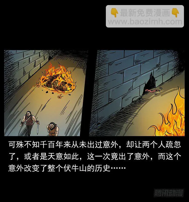 洞中老者 第54页