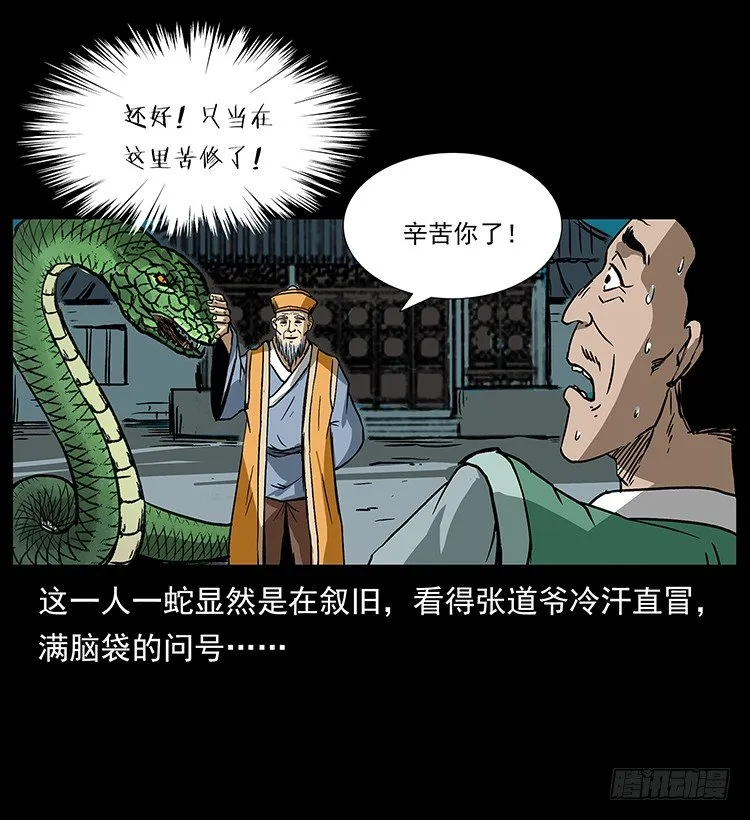 张宅诡影 第41页