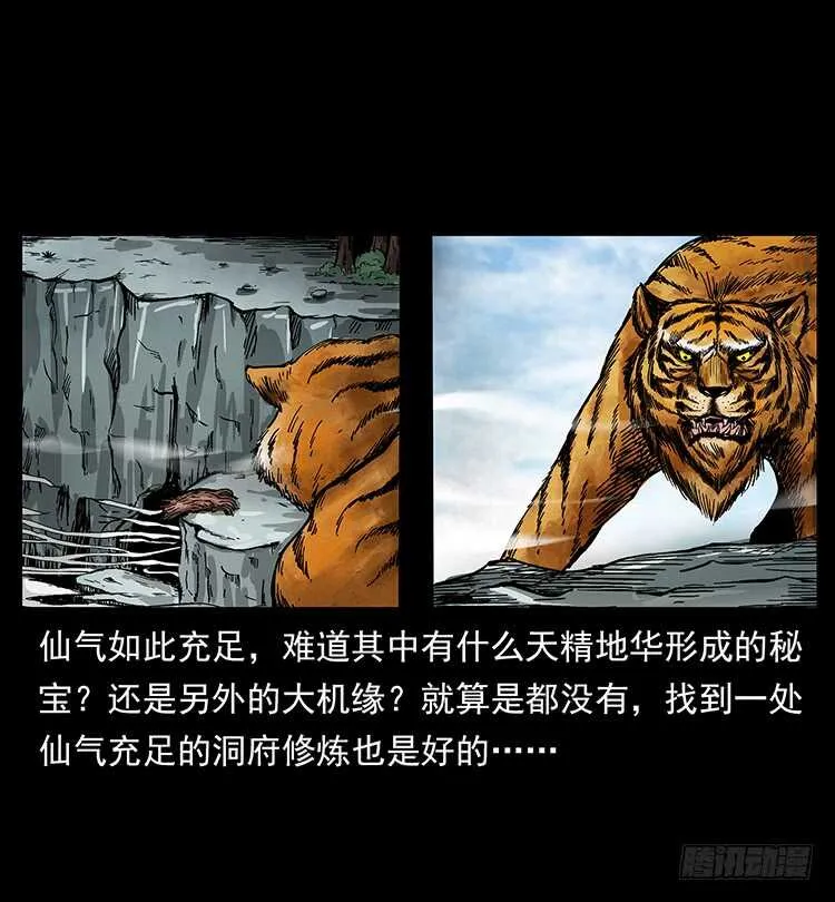 虎妖 第5页