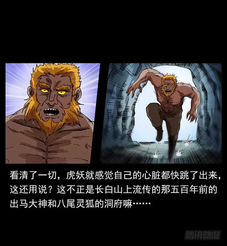 虎妖 第13页