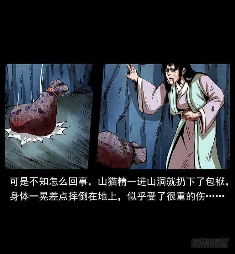 虎妖 第39页