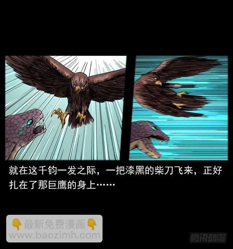 妖女柳叶儿 第20页