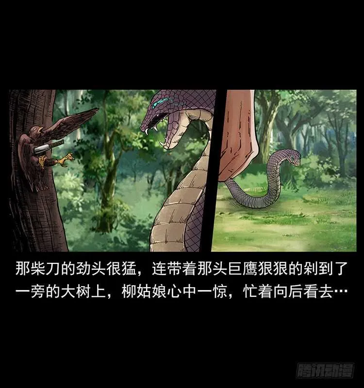 妖女柳叶儿 第21页