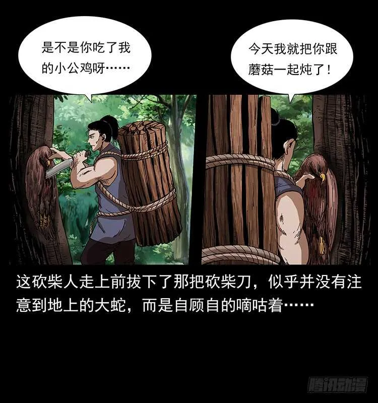 妖女柳叶儿 第23页