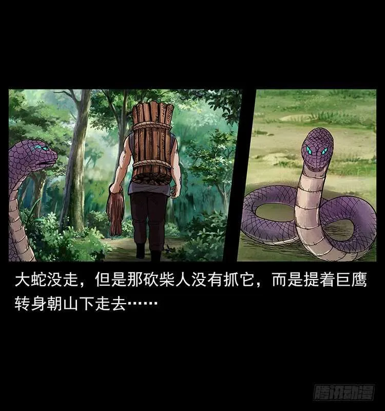 妖女柳叶儿 第25页