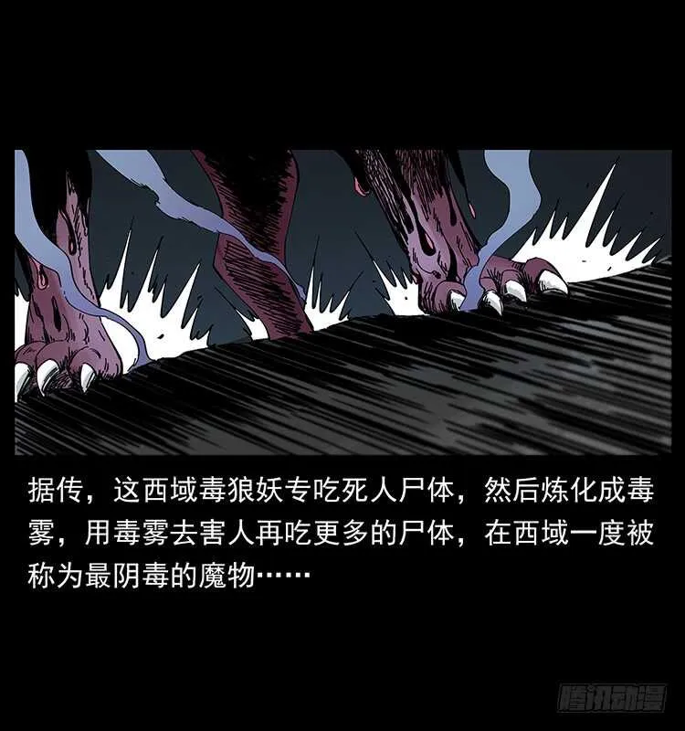 毒狼 第51页