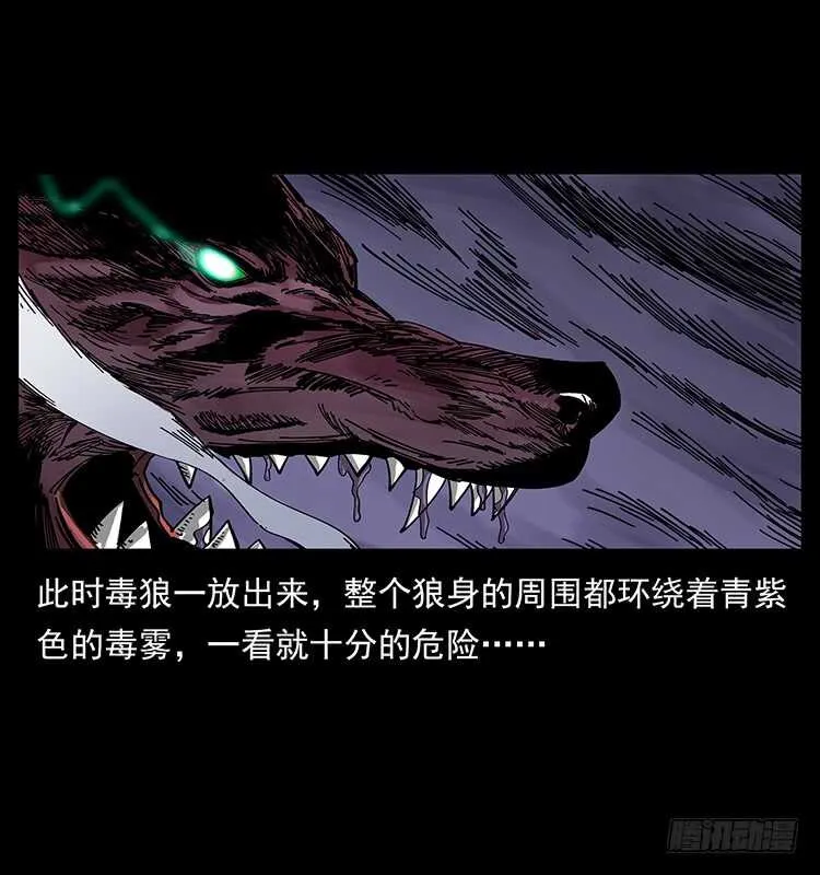 毒狼 第52页