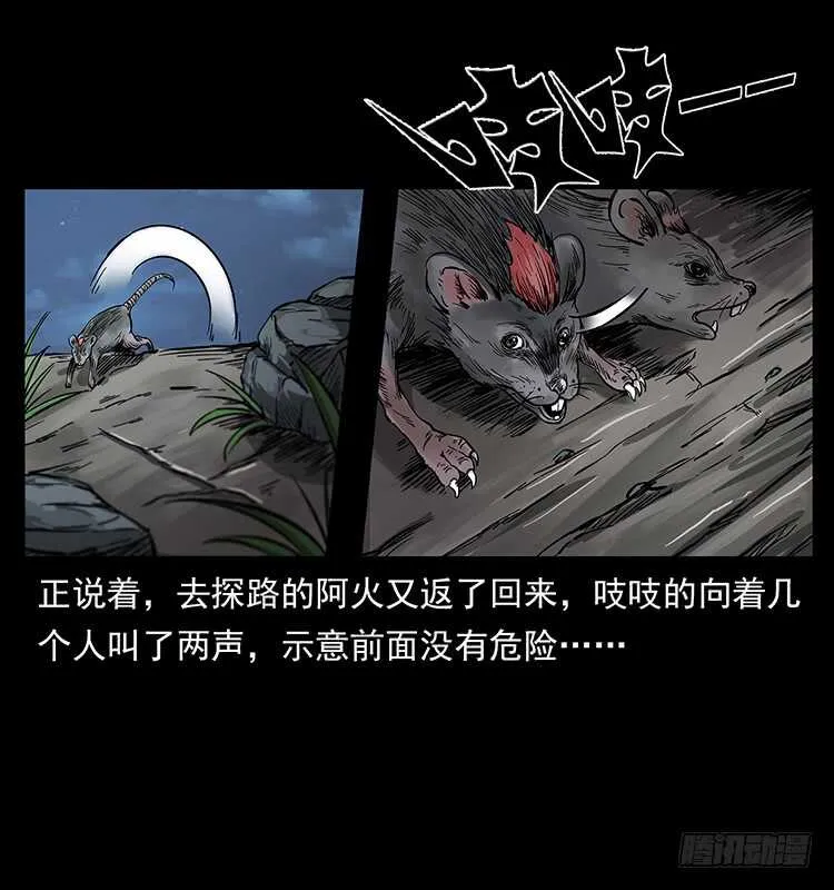 将军之魂 第35页