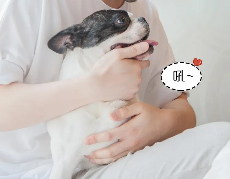 第3期《读心男友》 第13页
