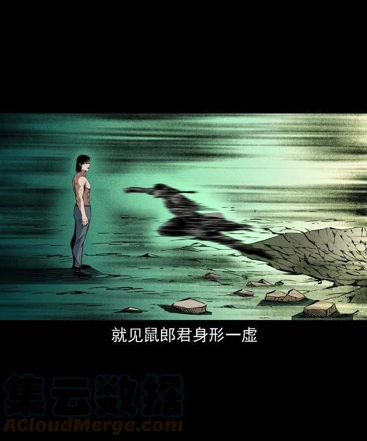 一百五十五话 最强鼠郎君 第49页