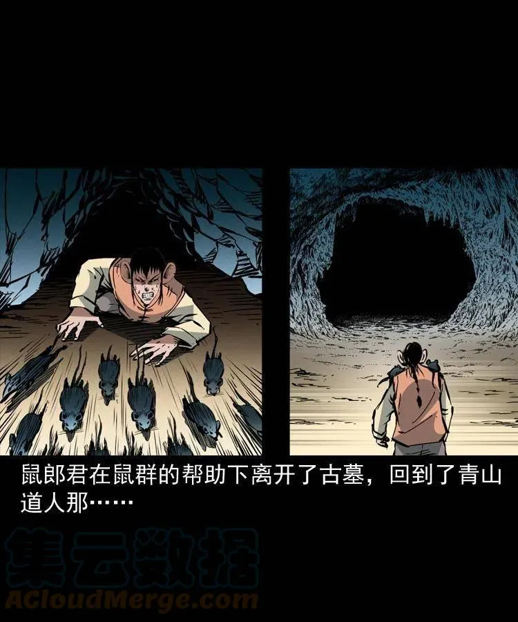 一百五十六话 围攻鼠郎君 第7页