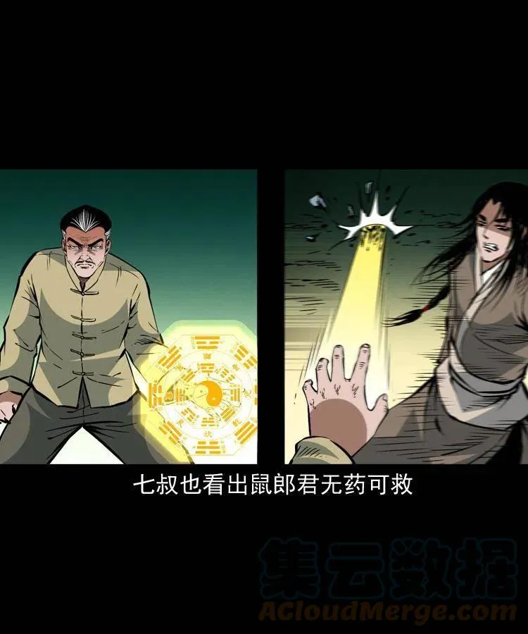 一百五十六话 围攻鼠郎君 第28页