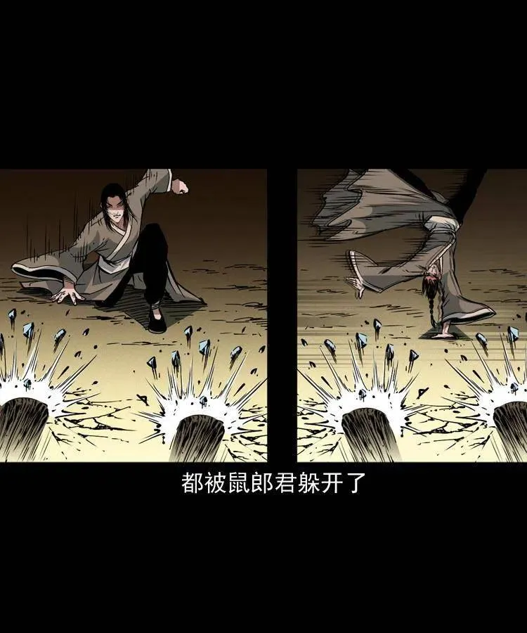 一百五十六话 围攻鼠郎君 第30页