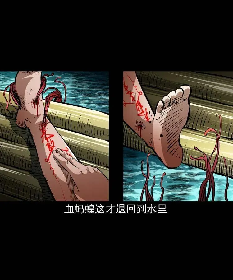 一百四十七话 吸血蚂蟥 第11页