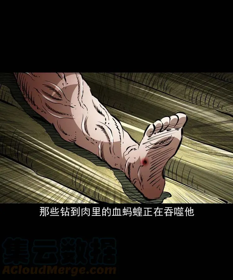 一百四十七话 吸血蚂蟥 第13页